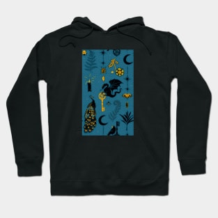 Unlock the dark side Hoodie